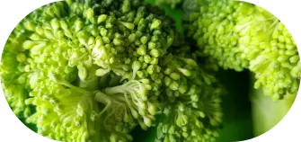 brocolli