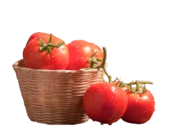 Tomato Basket