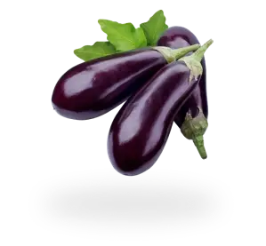 Picture of Eggplant