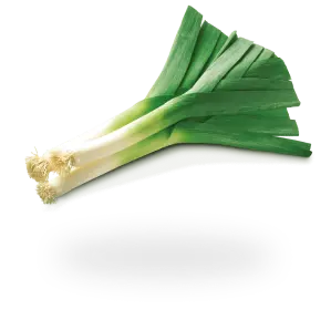 Picture of Leek