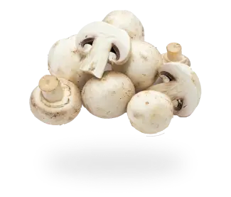 Picture of Mushrooms